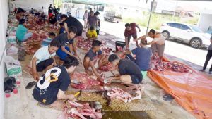 Sebanyak 1.016 Hewan Kurban Tercatat di Kota Pariaman pada Idul Adha 1447 H/2026 M